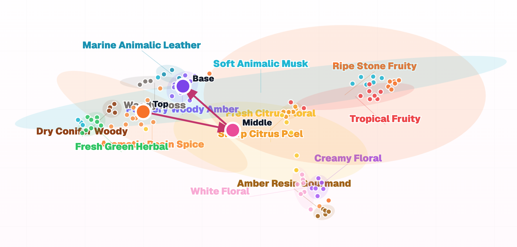 Perfume AroMap showing Top Middle Base movement